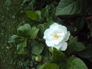 DSC00495