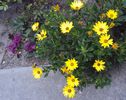 DSC00855