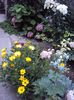 DSC00856