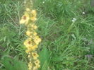 2014-07-12 14.12.37
