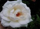 20140729_135310