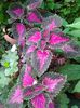 20140729_081111