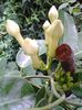 20140729_153845
