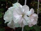 20140729_154130