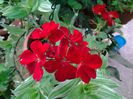 20140729_154148