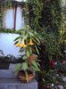 DSC01124