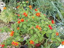 DSCN0024