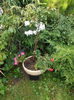 DSCN0026