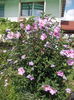 DSCN9983
