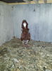 20140730_121336