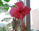 DSC04843