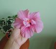 DSC04891