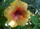 P1200921