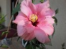 20140731_083921