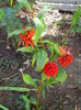 IMG_20140731_104145