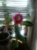 IMG-20140730-WA0026