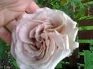06012006254