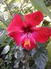 20140727_091245