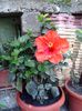 20140726_120217