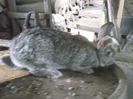 CAM00592