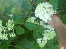 DSCN8502