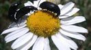 20140615_123408