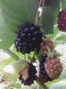 IMG_20140802_152406