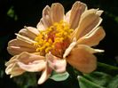 IMG_20140802_141826
