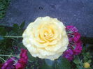 Photo0295