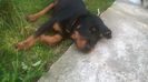 WP_20140802_016