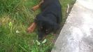 WP_20140802_017