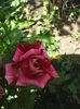 DSCF0045
