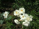 DSCF0048