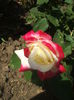 DSCF0071