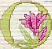ABC-FLORAL (13)