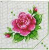 flor 6