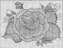 flor 9 risco
