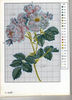 flor 34