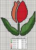 flor tulipa