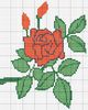 flor21