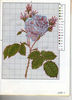 flor45