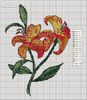 floral2