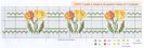 flores tulipas