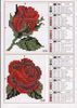 rosas  vermelhas