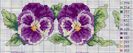 rosas lilas