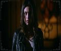 *ii ridica repede ci viteza de vamp si tipa*FANE I WILL KILL YOU click