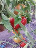 IMG_20140801_194048