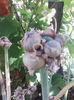 IMG_20140731_105646