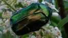 20140602_200347