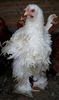 SAM_1594